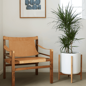 The Ceramic Cylinders + Teak Stands