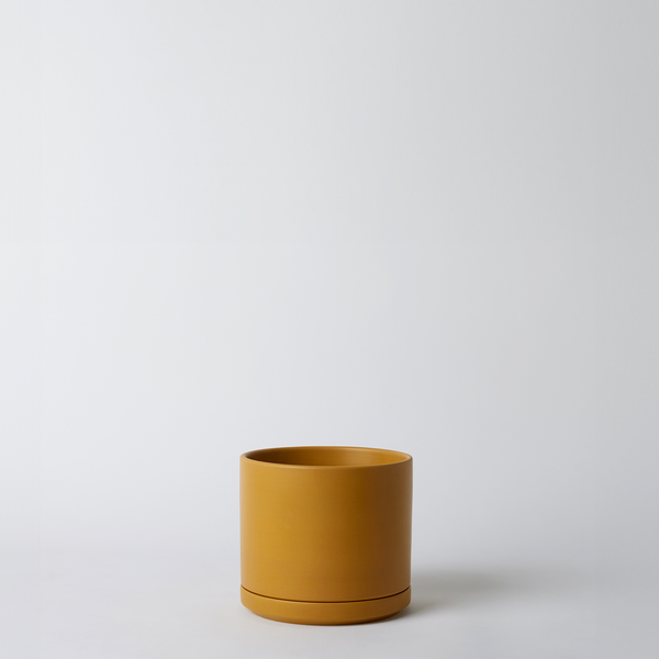 Solid Goods 6 Inch Ceramic Cylinder with Saucer